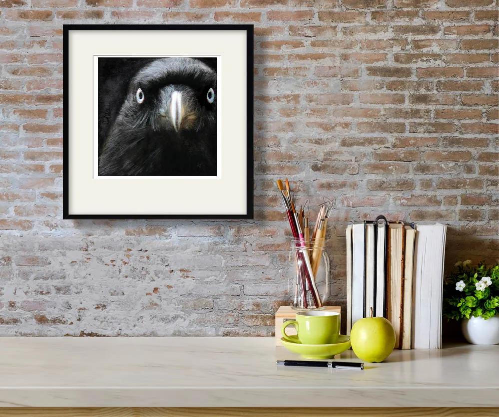 The Crow, Inklife Collection, ANTFOX Gallery — ANTFOX